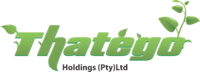 thatego holdings logo